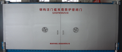 钢结构活门槛双扇防护密闭门